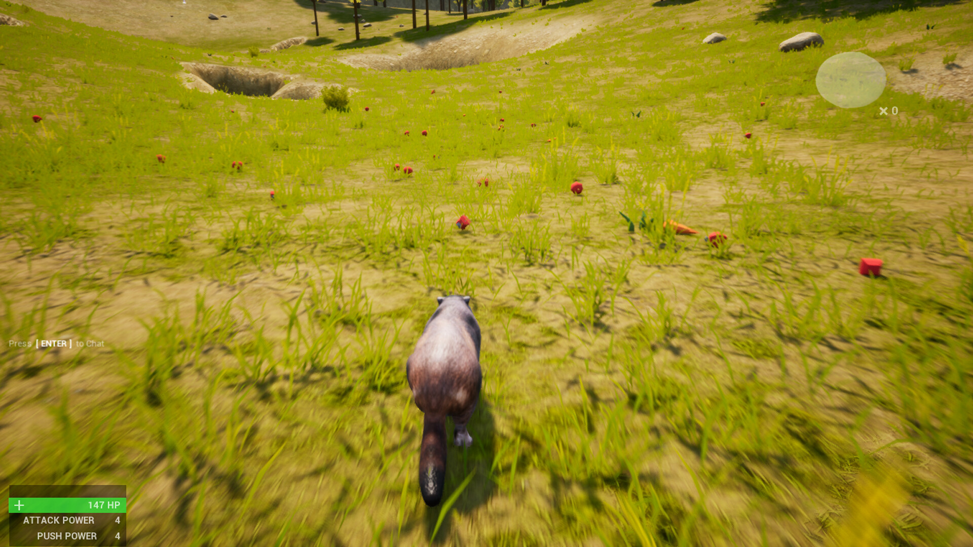 Images will go here